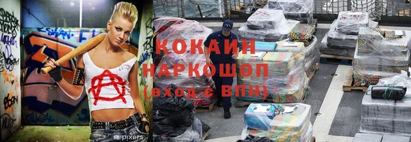 стафф Аркадак