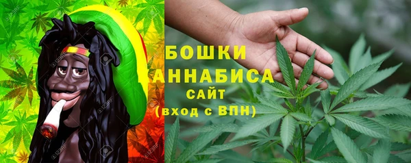 стафф Аркадак